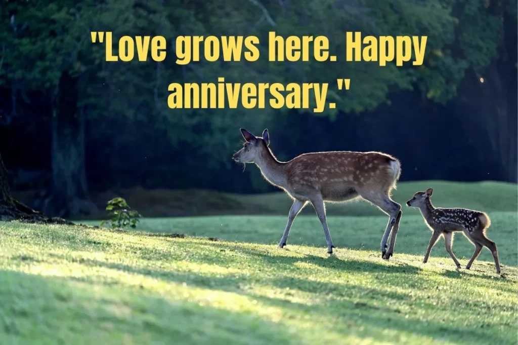 Short Anniversary Quotes Perfect for Small Cards