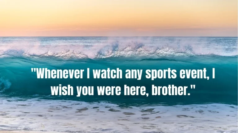 102+ Touching Death Anniversary Quotes For Brother
