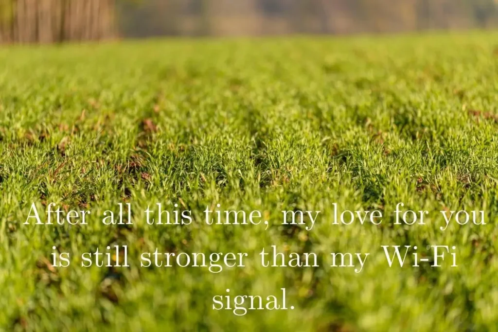 105 Funny Anniversary Quotes With a Great Sense of Humor That Will Make Your Partner Laugh