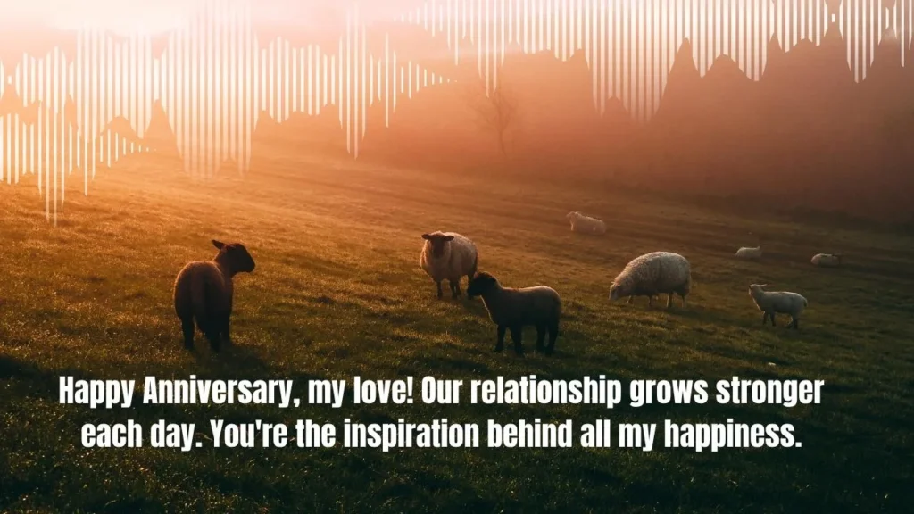 100+ 5 Year Anniversary Quotes for Marriage Milestones to Celebrate Your Love
