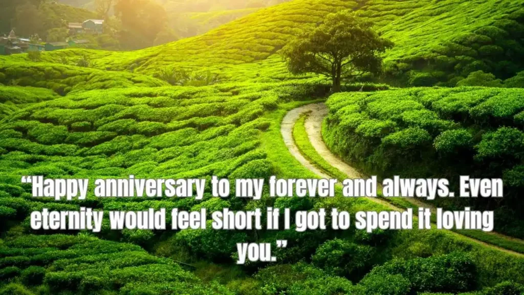 Short and Sweet Cute Anniversary Quotes