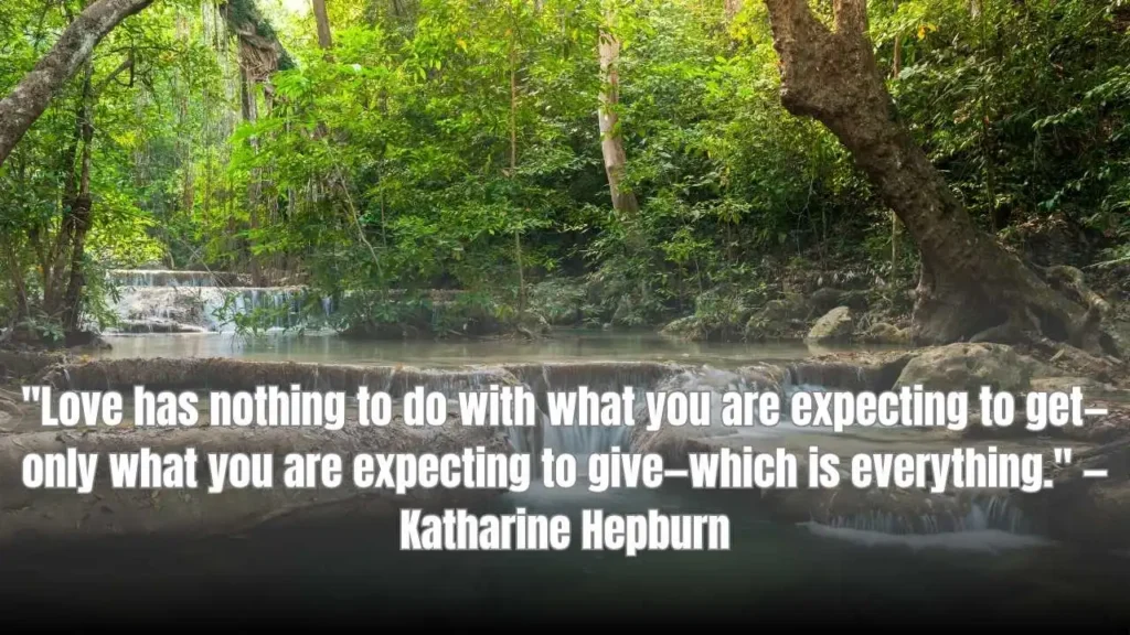 Cute Wedding Anniversary Quotes for Married Couples