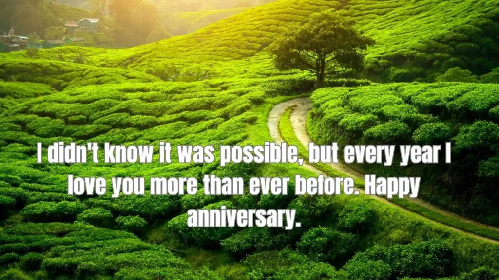 Cute Love Anniversary Quotes for Couples to Celebrate Your Special Day