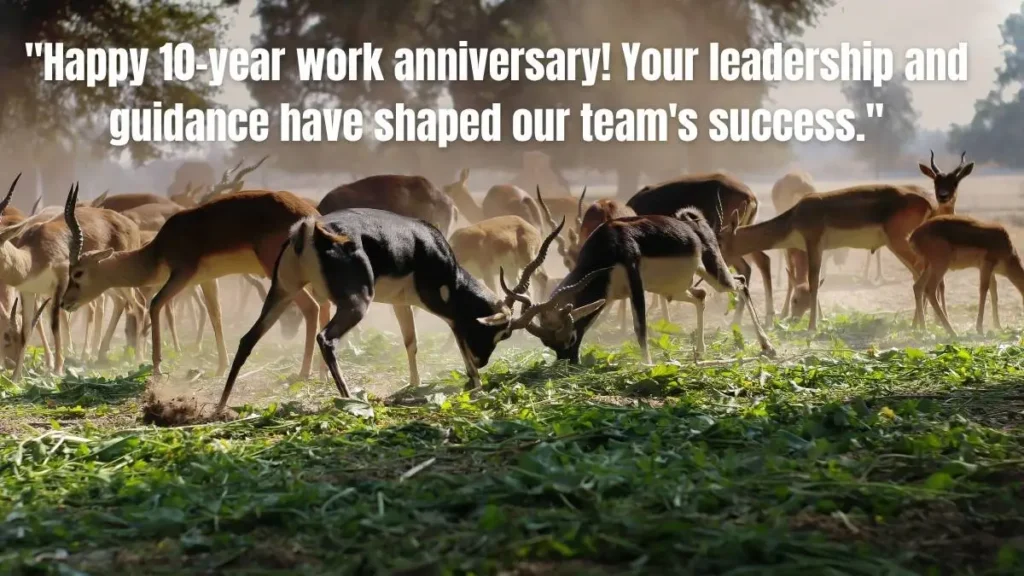 10-Year Work Anniversary Wishes for a Boss