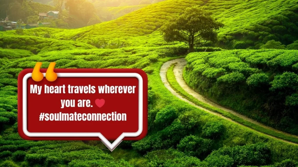 55 Best Anniversary Captions for Instagram for Couples Who Travel Together