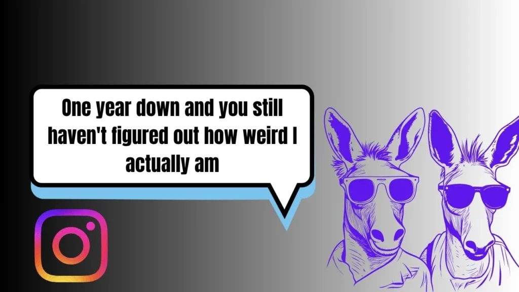 60 Funny Anniversary Captions for Instagram Stories & Posts