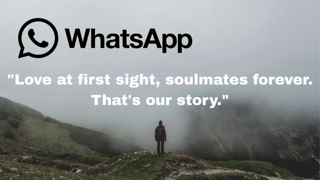 80+ Anniversary Message for WhatsApp Status to Celebrate Your Love Story