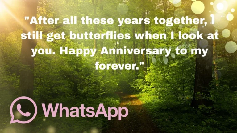 80+ Anniversary Message for WhatsApp Status to Celebrate Your Love Story