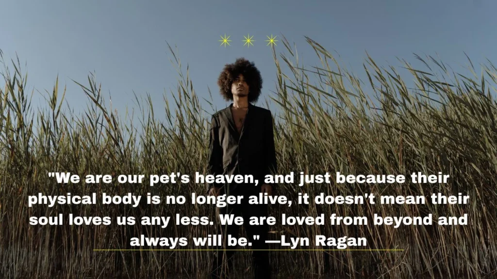 Quotes to Remember and Celebrate