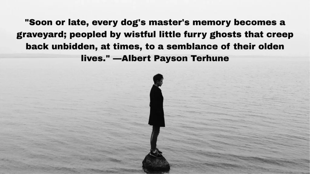 Embracing The Joys and Good Times