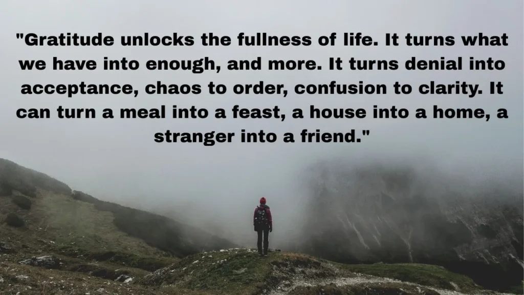 How to Use These Quotes About Gratitude in Your Life