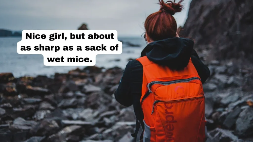 Classic Foghorn Leghorn Quotes