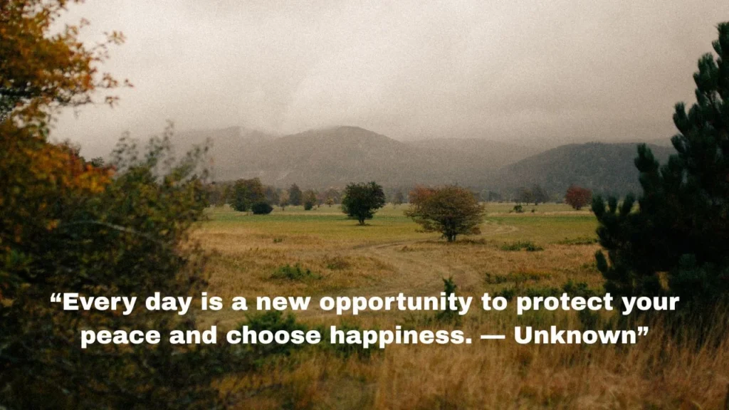 Short Protect Your Peace Quotes for Daily Strength