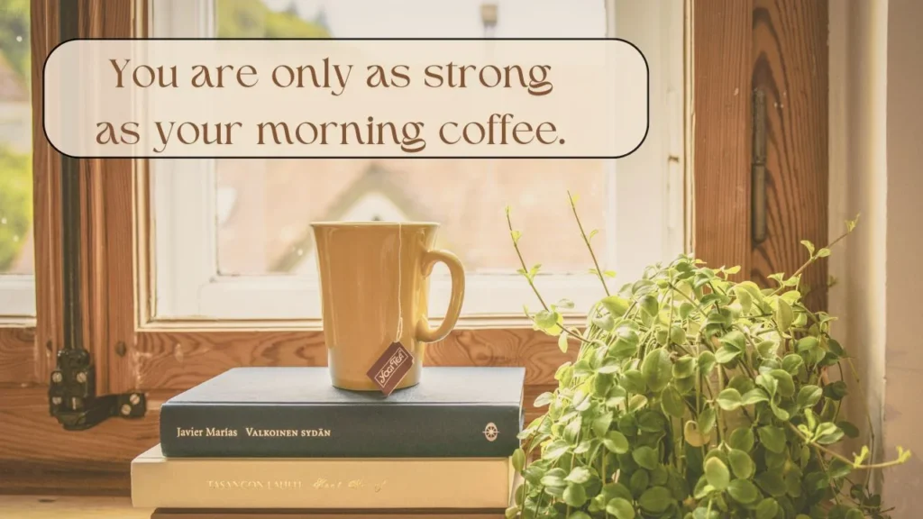 Funny Letter Board Quotes That Will Make You Smile