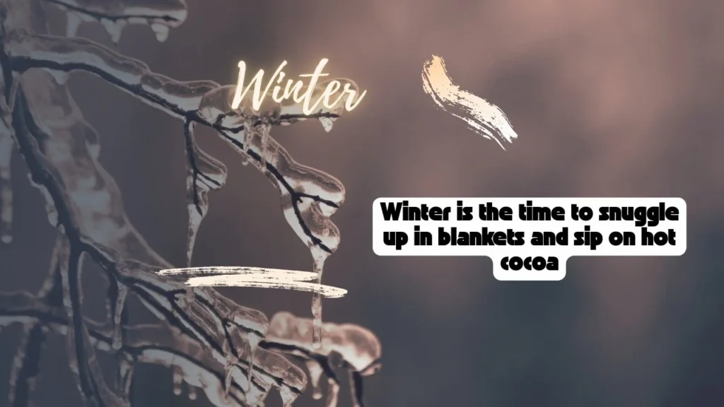 Hilarious Winter Quotes for Cold Days
