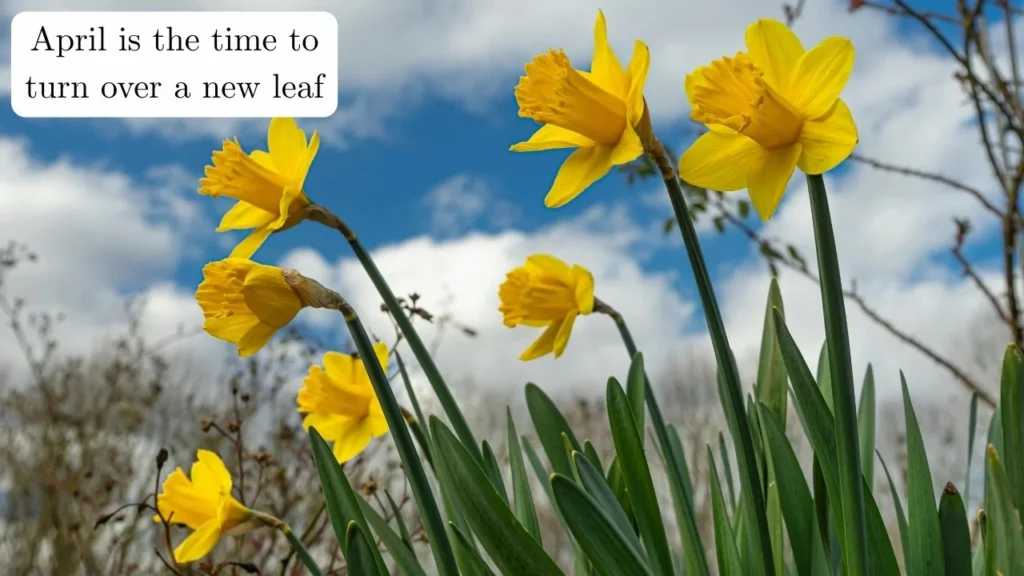 Famous April Quotes by Poets and Authors