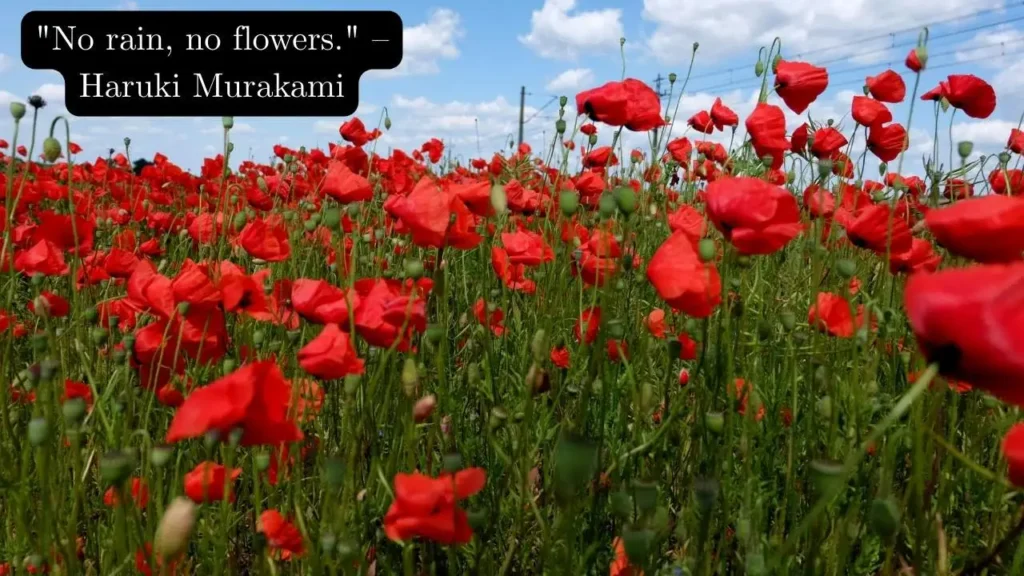 April Showers Quotes That Make the Rain Feel Beautiful