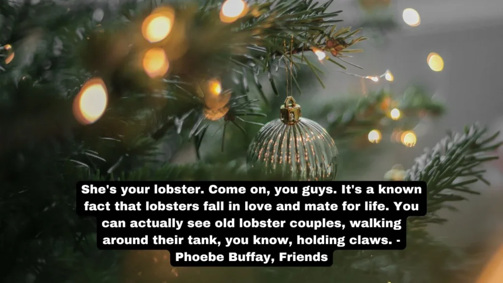 20 Funny Love Quotes for Wedding Readings & Vows