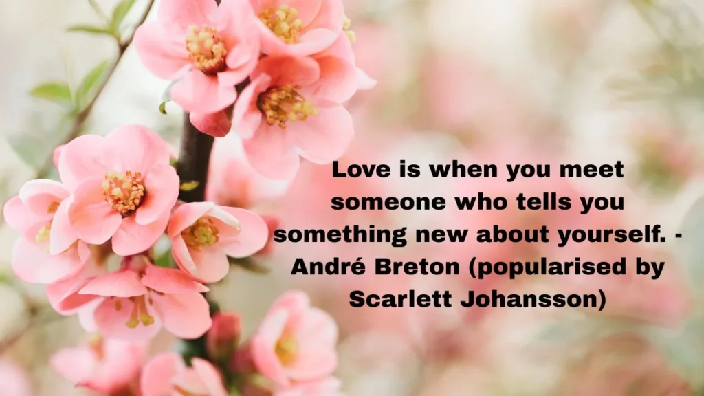 Contemporary Funny Quotes About Relationships